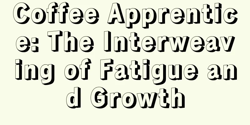Coffee Apprentice: The Interweaving of Fatigue and Growth
