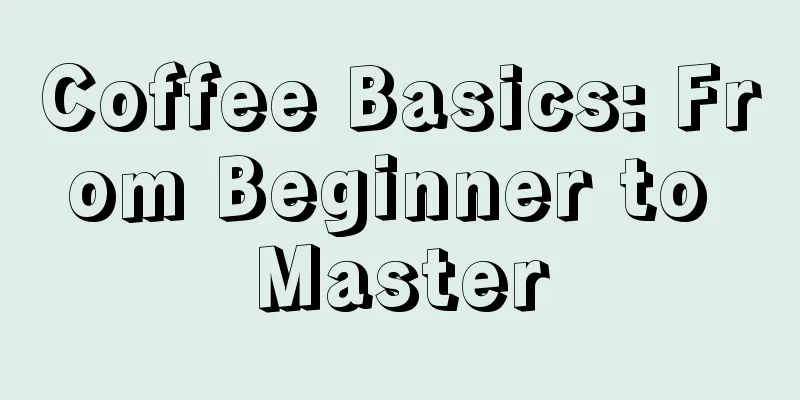 Coffee Basics: From Beginner to Master
