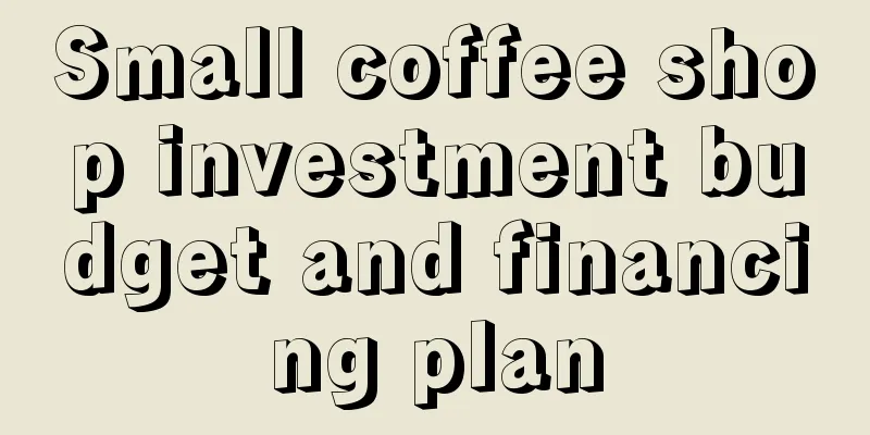 Small coffee shop investment budget and financing plan