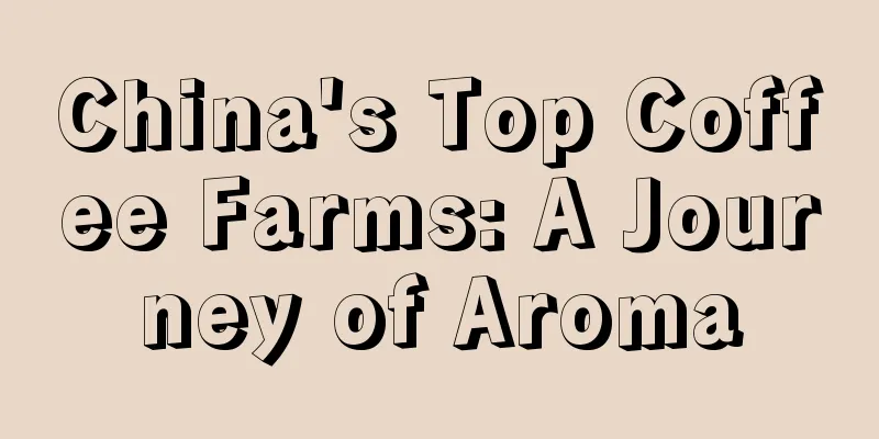 China's Top Coffee Farms: A Journey of Aroma
