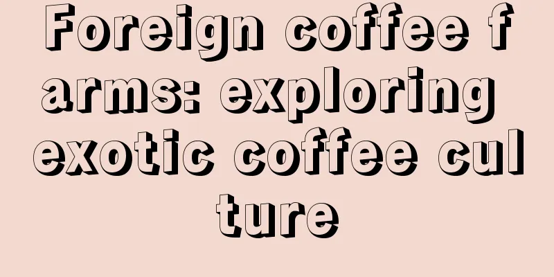 Foreign coffee farms: exploring exotic coffee culture