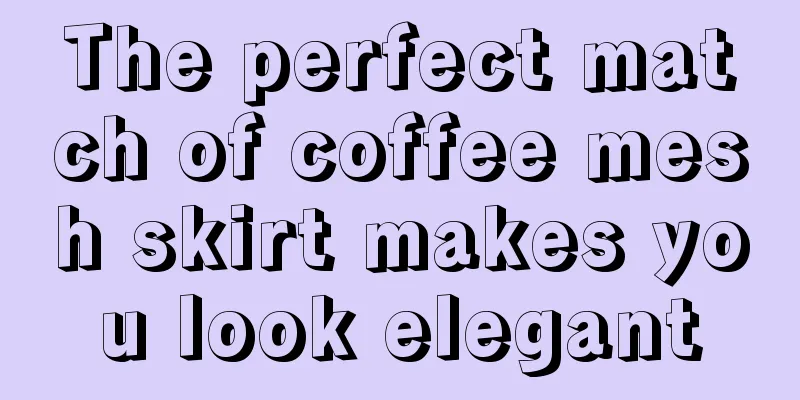 The perfect match of coffee mesh skirt makes you look elegant