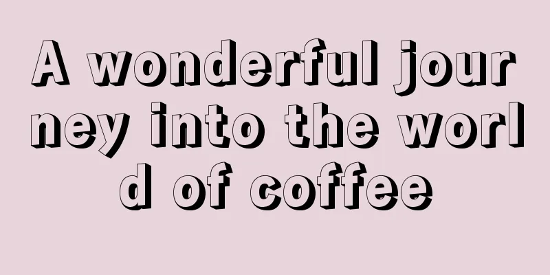 A wonderful journey into the world of coffee