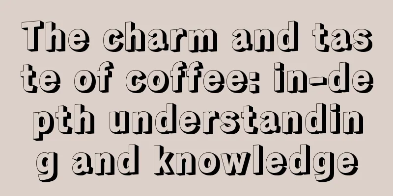 The charm and taste of coffee: in-depth understanding and knowledge