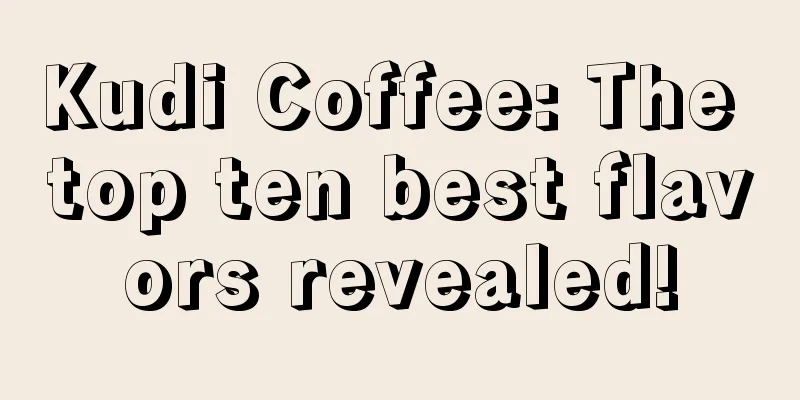 Kudi Coffee: The top ten best flavors revealed!