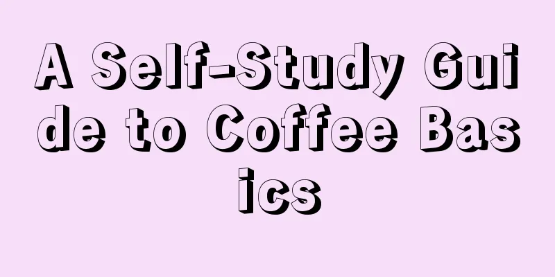 A Self-Study Guide to Coffee Basics