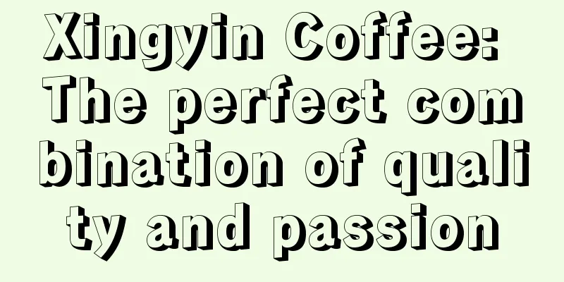 Xingyin Coffee: The perfect combination of quality and passion