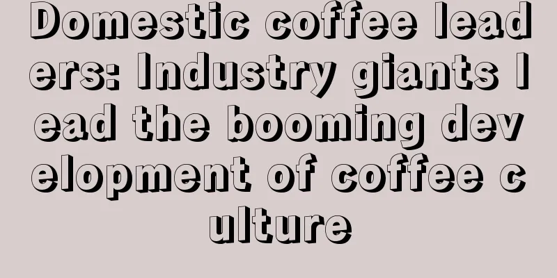 Domestic coffee leaders: Industry giants lead the booming development of coffee culture