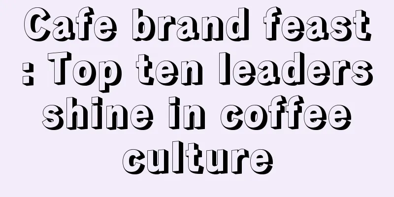 Cafe brand feast: Top ten leaders shine in coffee culture
