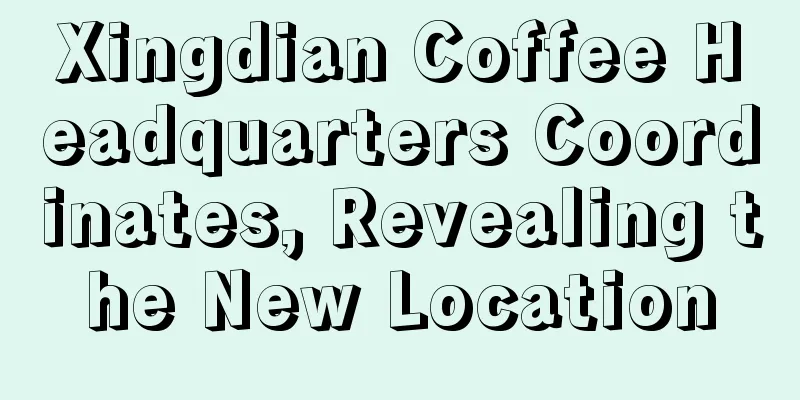 Xingdian Coffee Headquarters Coordinates, Revealing the New Location