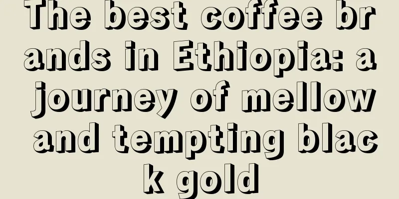 The best coffee brands in Ethiopia: a journey of mellow and tempting black gold