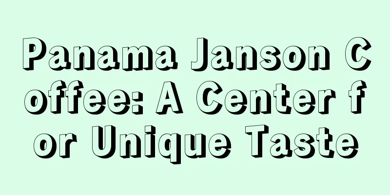 Panama Janson Coffee: A Center for Unique Taste