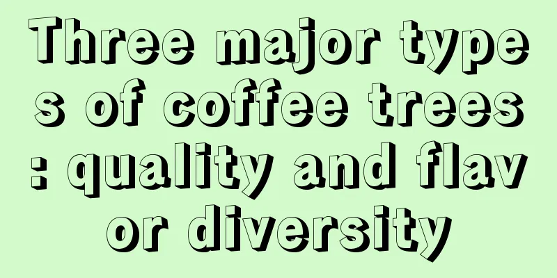 Three major types of coffee trees: quality and flavor diversity