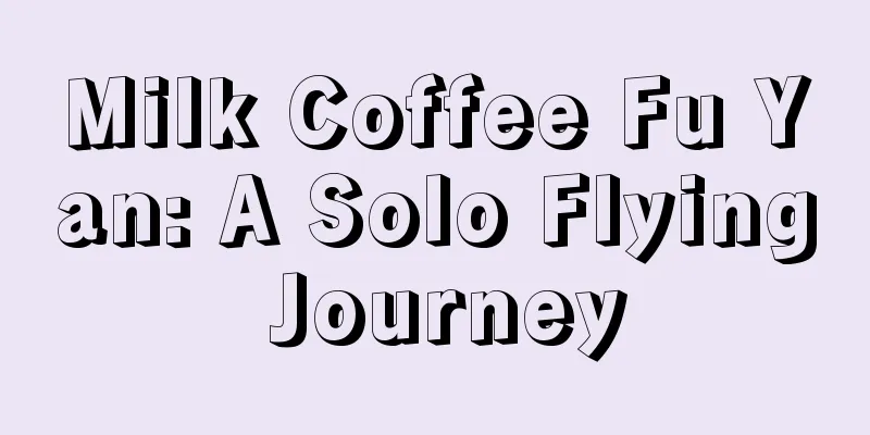 Milk Coffee Fu Yan: A Solo Flying Journey