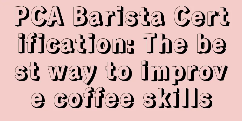 PCA Barista Certification: The best way to improve coffee skills