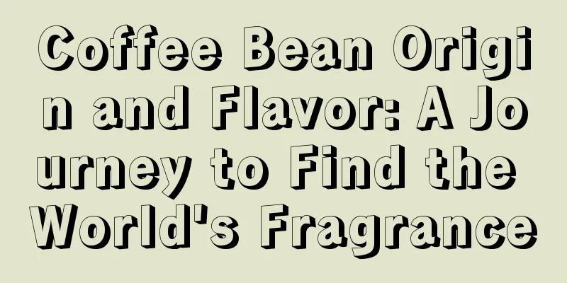Coffee Bean Origin and Flavor: A Journey to Find the World's Fragrance