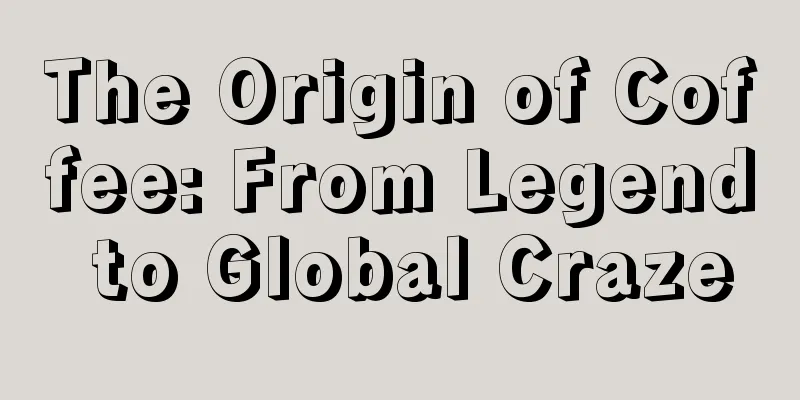 The Origin of Coffee: From Legend to Global Craze