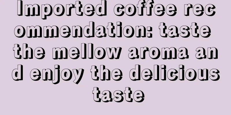 Imported coffee recommendation: taste the mellow aroma and enjoy the delicious taste