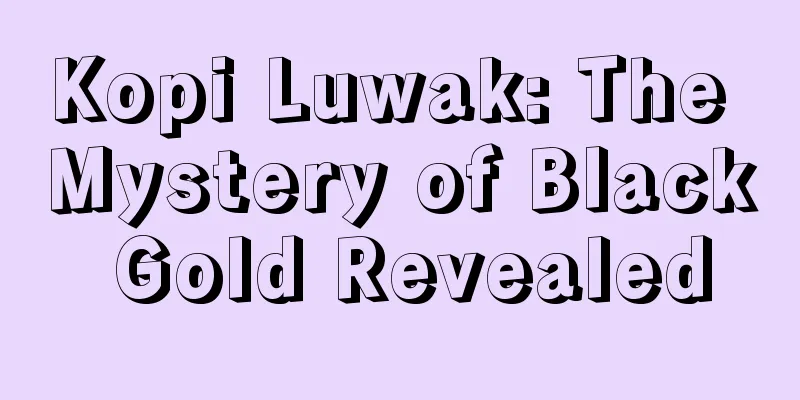 Kopi Luwak: The Mystery of Black Gold Revealed