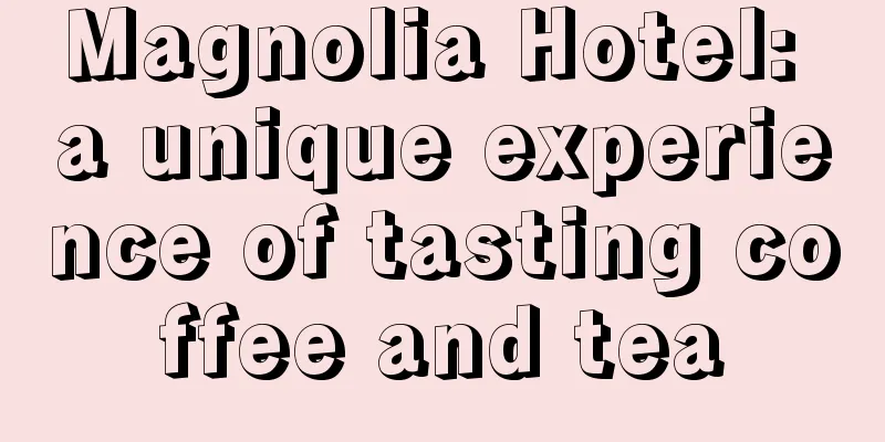 Magnolia Hotel: a unique experience of tasting coffee and tea