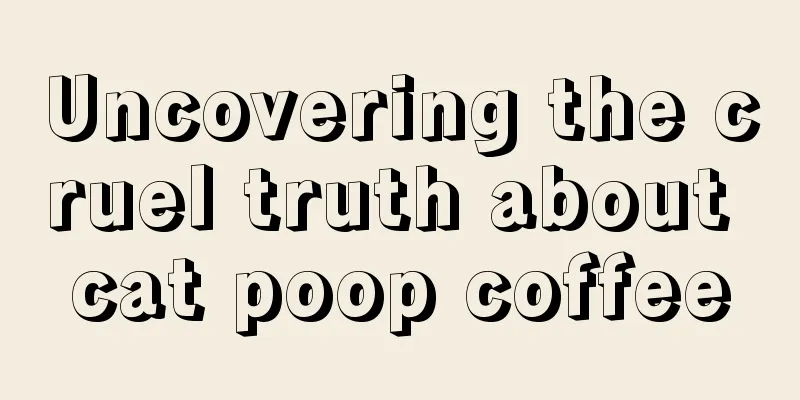 Uncovering the cruel truth about cat poop coffee